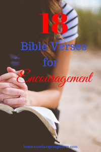 18 Bible Verses for Encouragement #bibleverses #encouragement #encourageothers