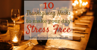 10 Thanksgiving Hacks To Make Your Day Stress Free