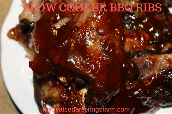 Slow Cooker BBQ Ribs