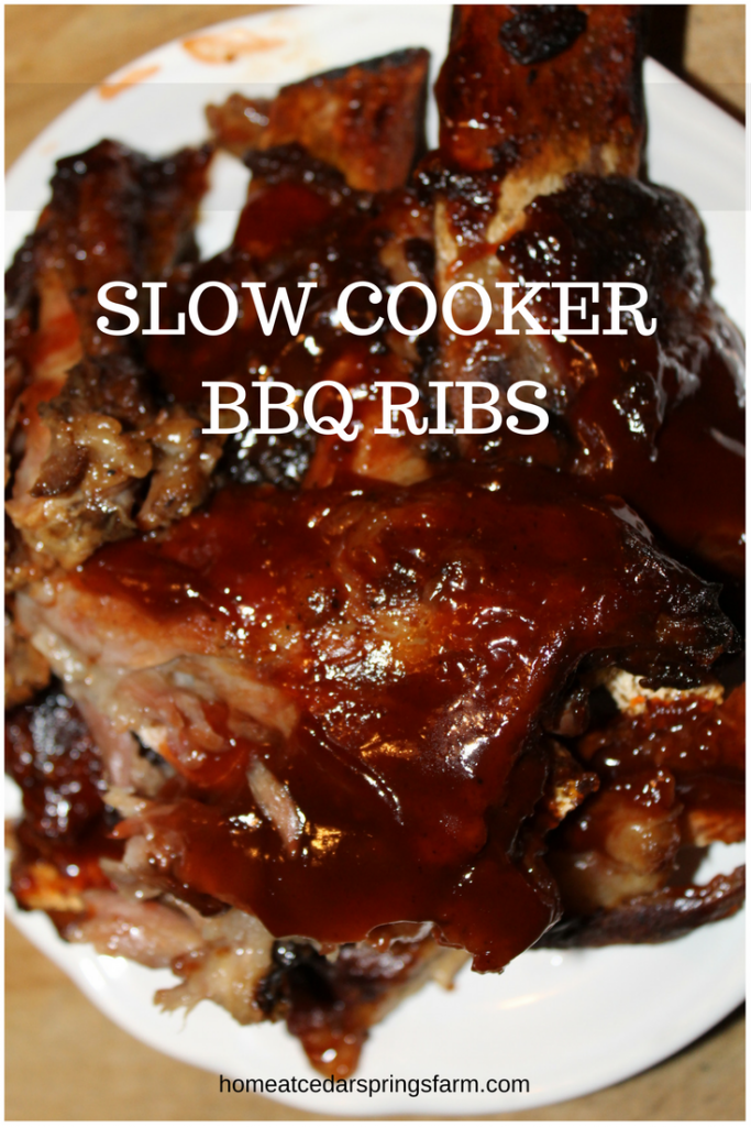 SLOW COOKER BBQ RIBS