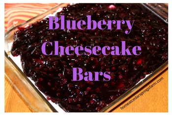 The Best Blueberry Cheesecake Bars