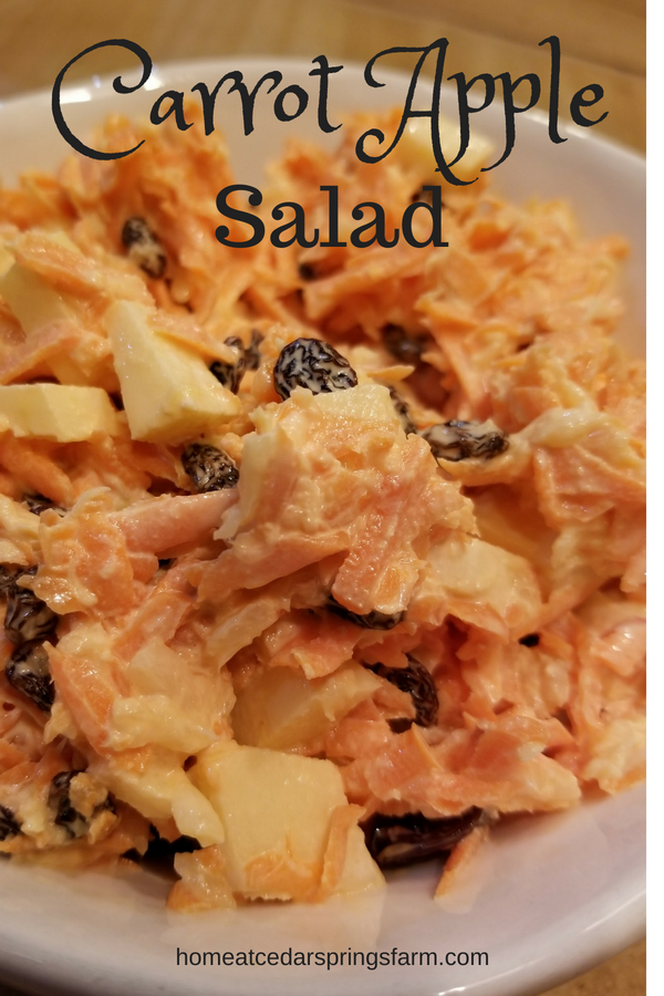 Carrot Apple Salad with text overlay.