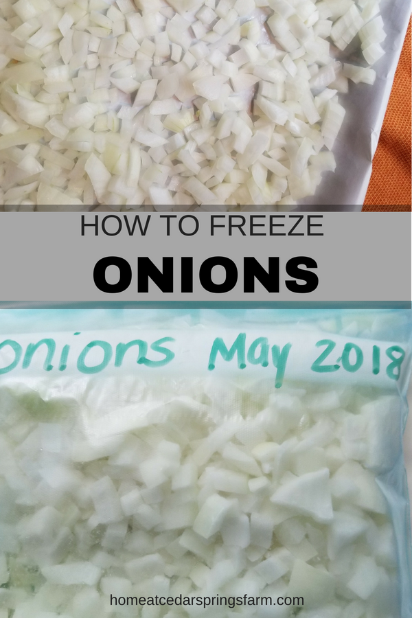 Can You Freeze Onions? The Best Method to Freeze Onions