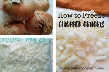 How To Freeze Chopped Onions