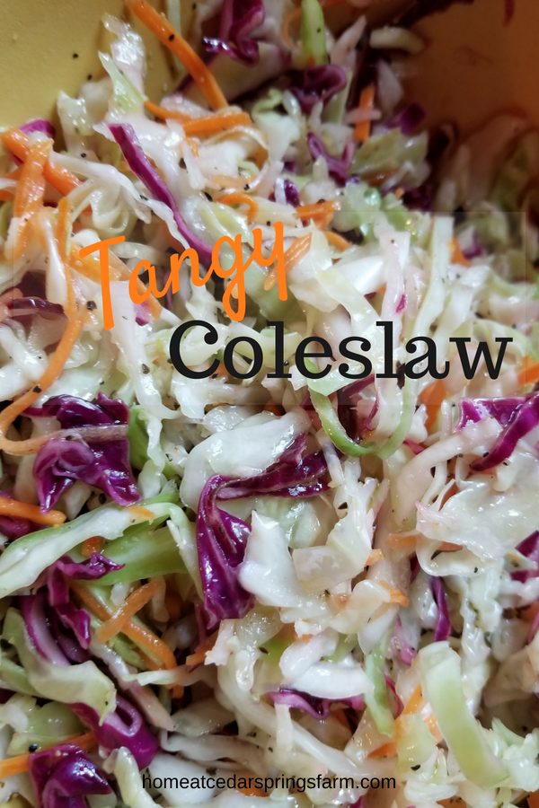 Tangy Vinegar Coleslaw