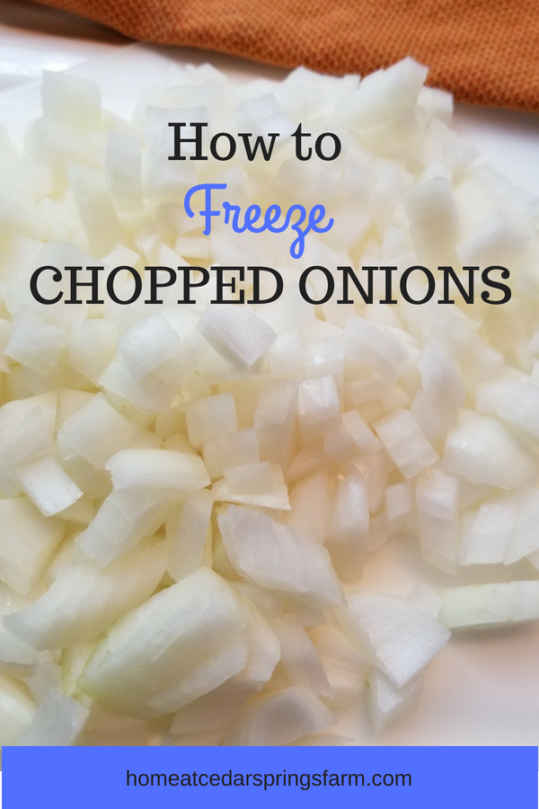 Can You Freeze Onions? The Best Method to Freeze Onions