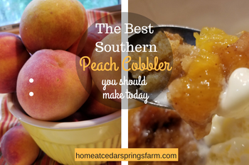 The Best Southern Peach Cobbler