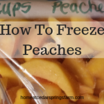 How To Freeze Peaches Without Sugar