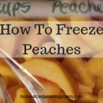 How To Freeze Peaches