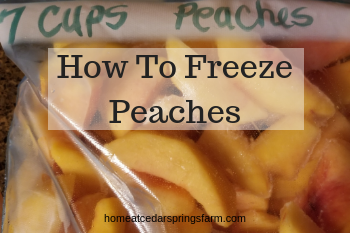 How To Freeze Peaches Without Sugar