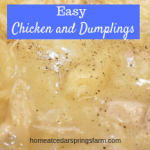 Easy Chicken and Dumplings