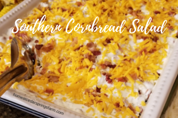 Southern Cornbread Salad