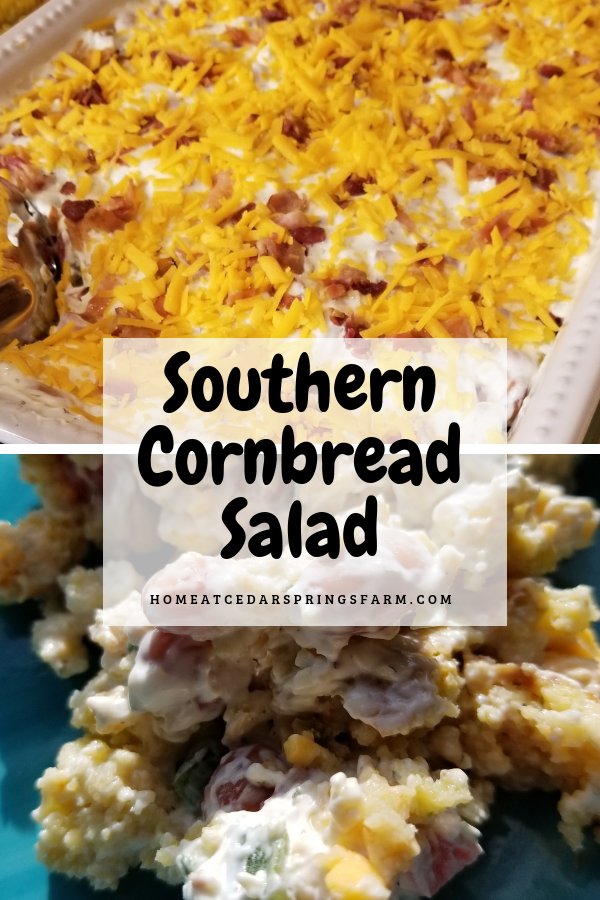 Southern Cornbread Salad