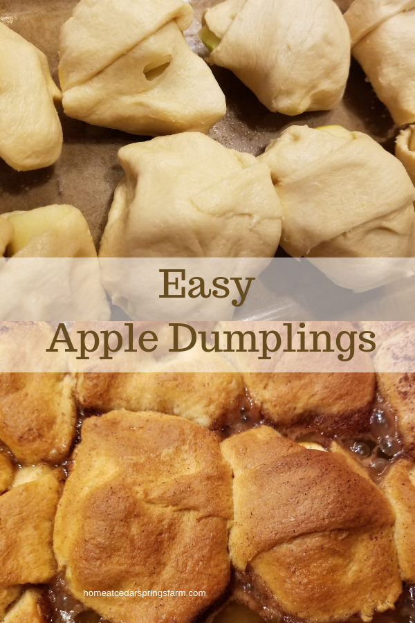Easy Apple Dumplings #appledumplings #easyfallrecipe #appledumplingsdessert