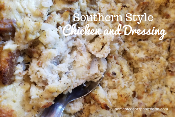 Southern Style Chicken and Dressing - Home at Cedar Springs Farm