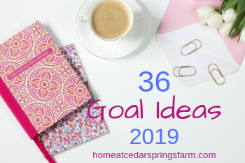 36 Goal Ideas for 2019