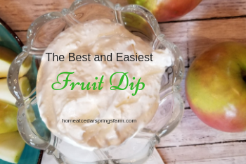 The Best and Easiest Fruit Dip