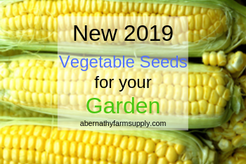 The Best Seeds For Your Garden