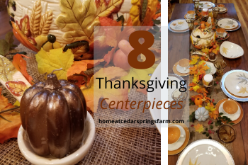 Thanksgiving Table Decorations and Ideas