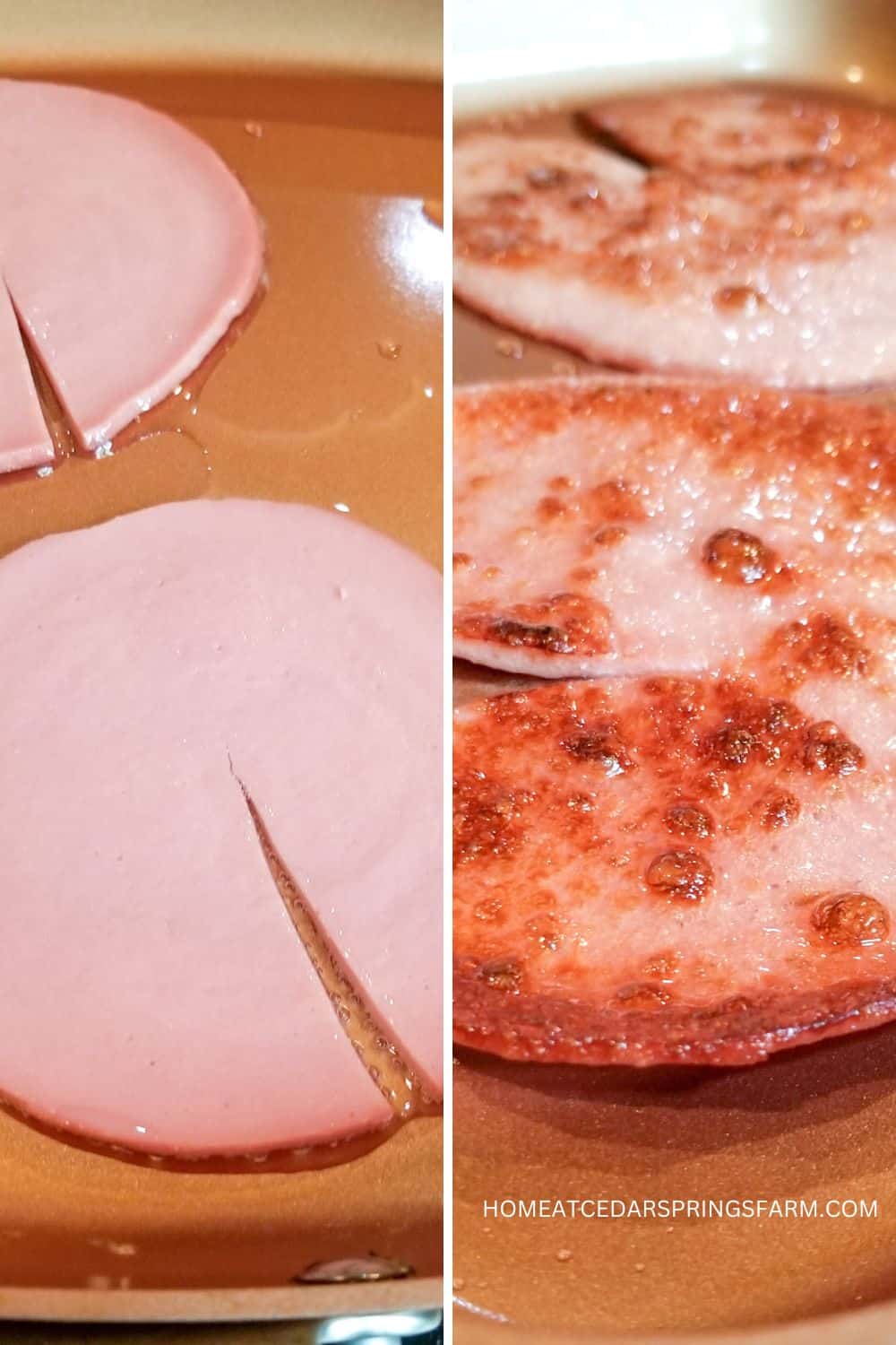 Frying bologna in a skillet with text overlay.