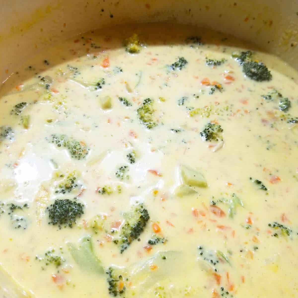 Add broccoli to the soup pot with the vegetables and cream.