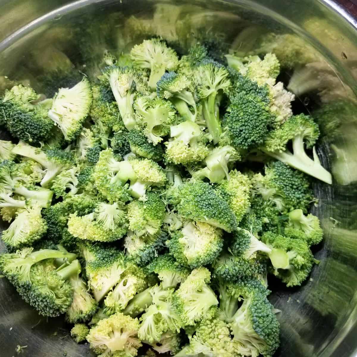 Chopped broccoli in a bowl.