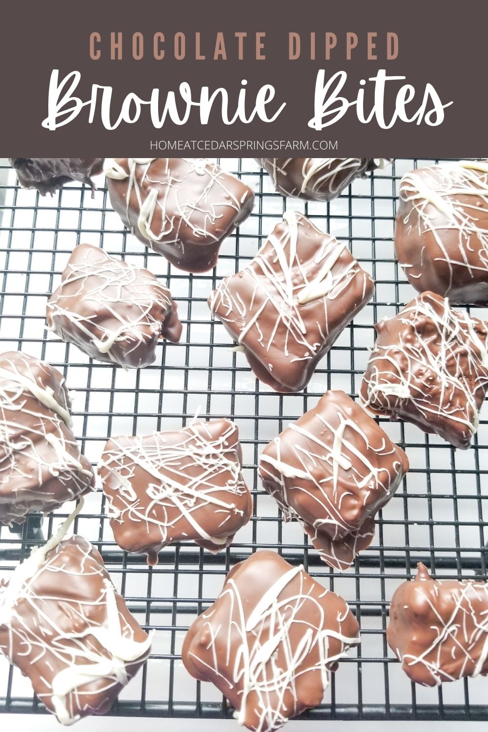 Chocolate Dipped Brownie Bites