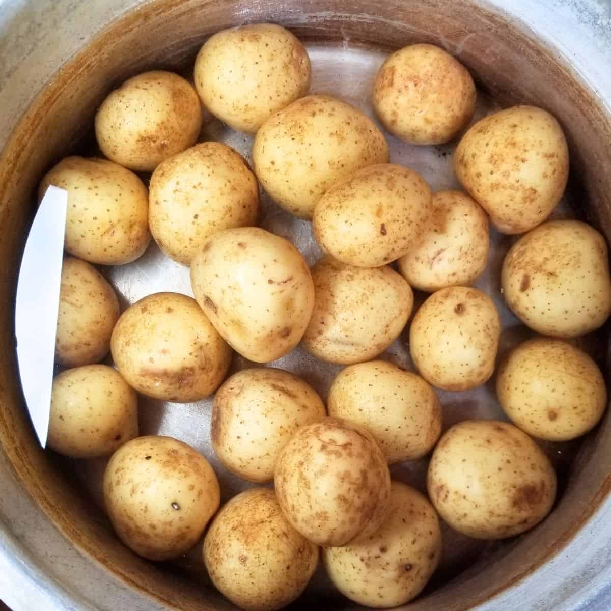 Washed potatoes in a pot ready to be boiled.