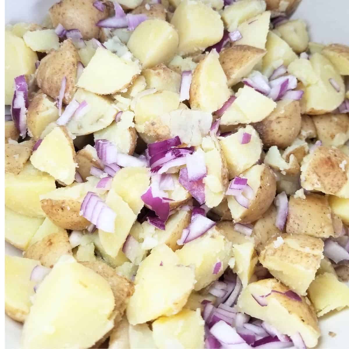 Adding diced red onion to potatoes in mixing bowl.