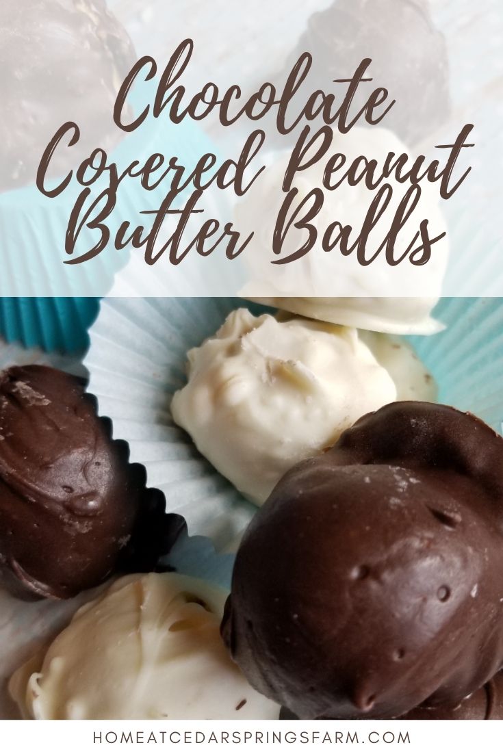 Chocolate Covered Peanut Butter Balls