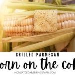Grilled Corn on the Cob with Parmesan