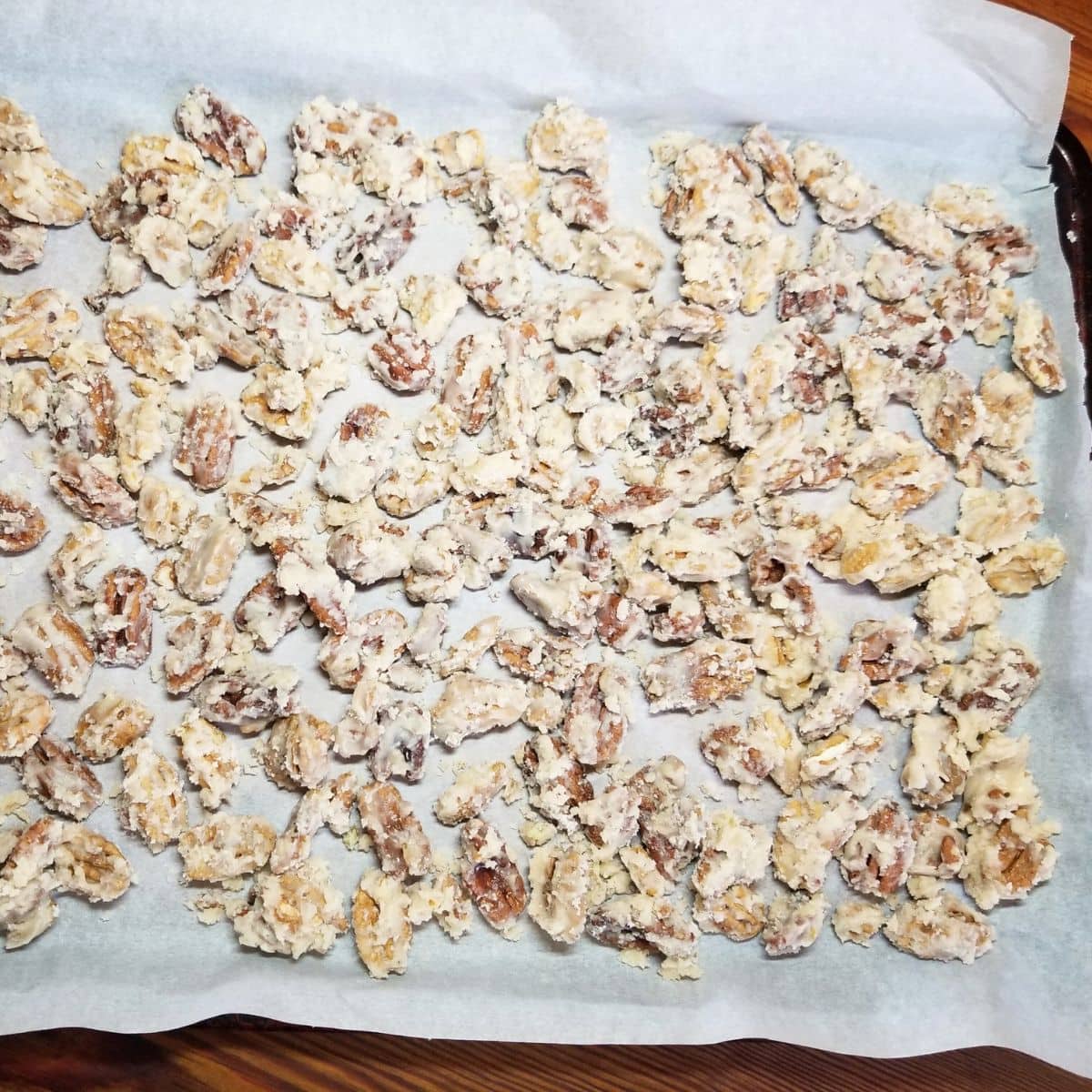Candied pecans cooling on a baking sheet.