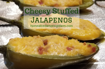 cheesy stuffed jalapenos