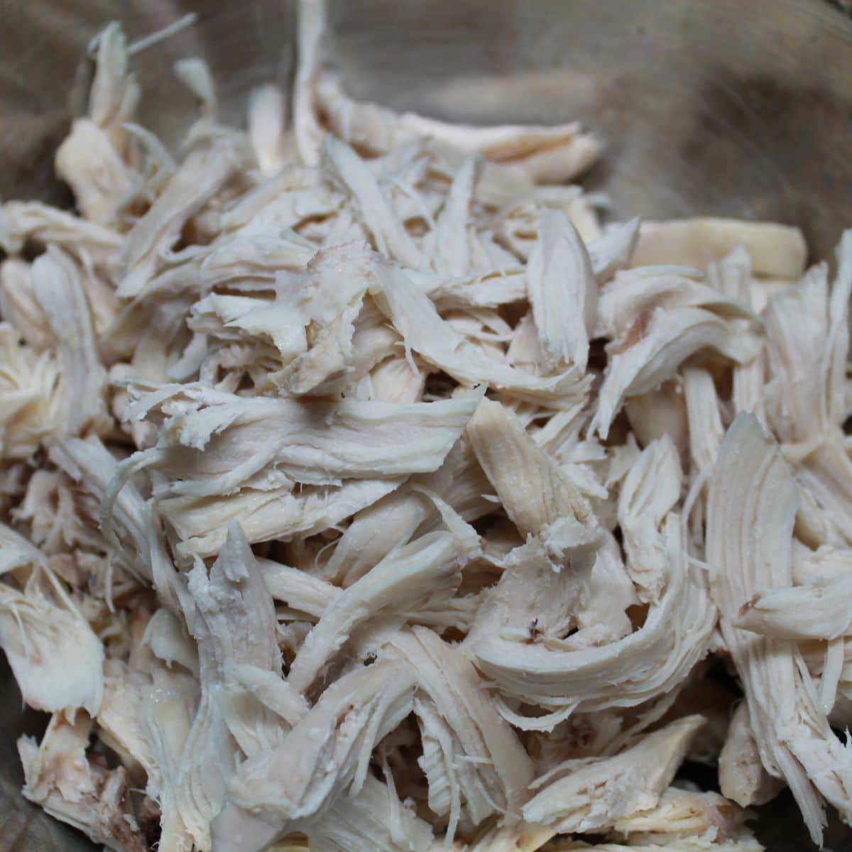 Shredded chicken in a bowl.