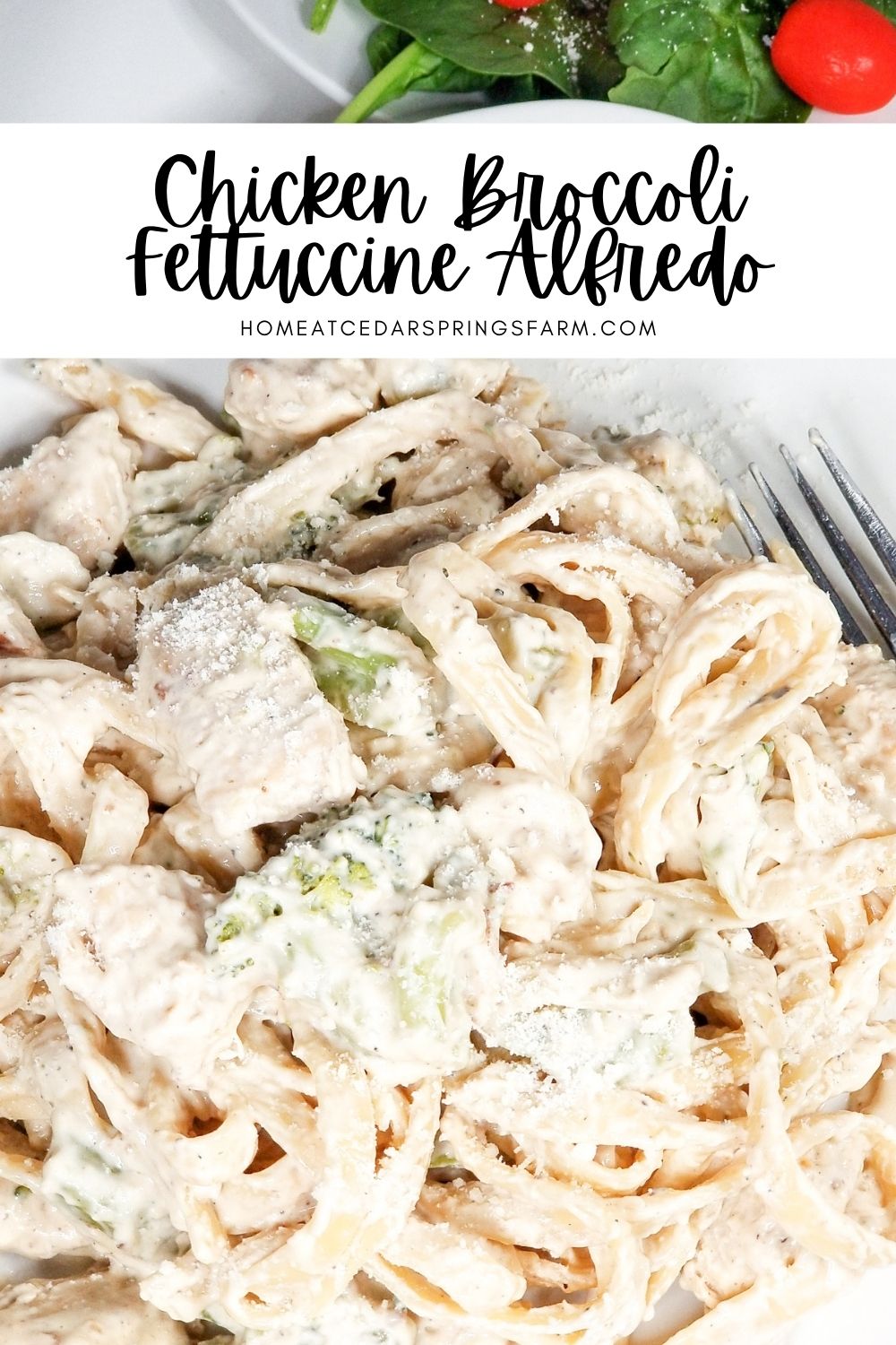 chicken broccoli fettuccine picture with overlay