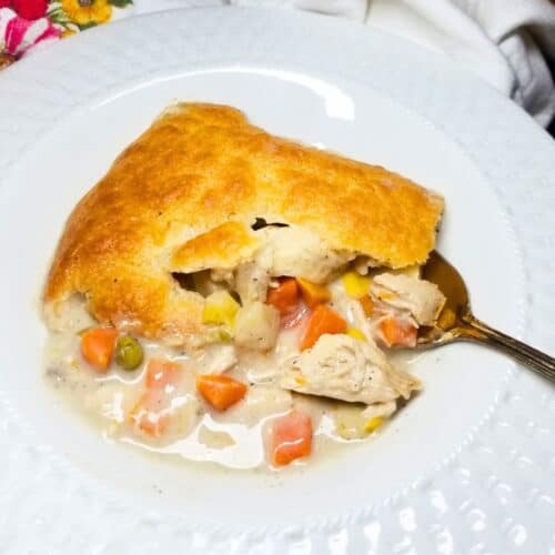 Chicken pot pie baked and ready to serve in a bowl.