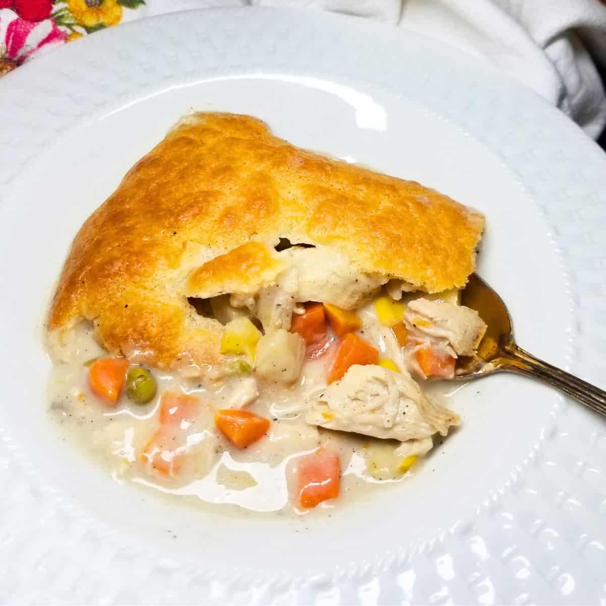 Chicken pot pie baked and ready to serve in a bowl.
