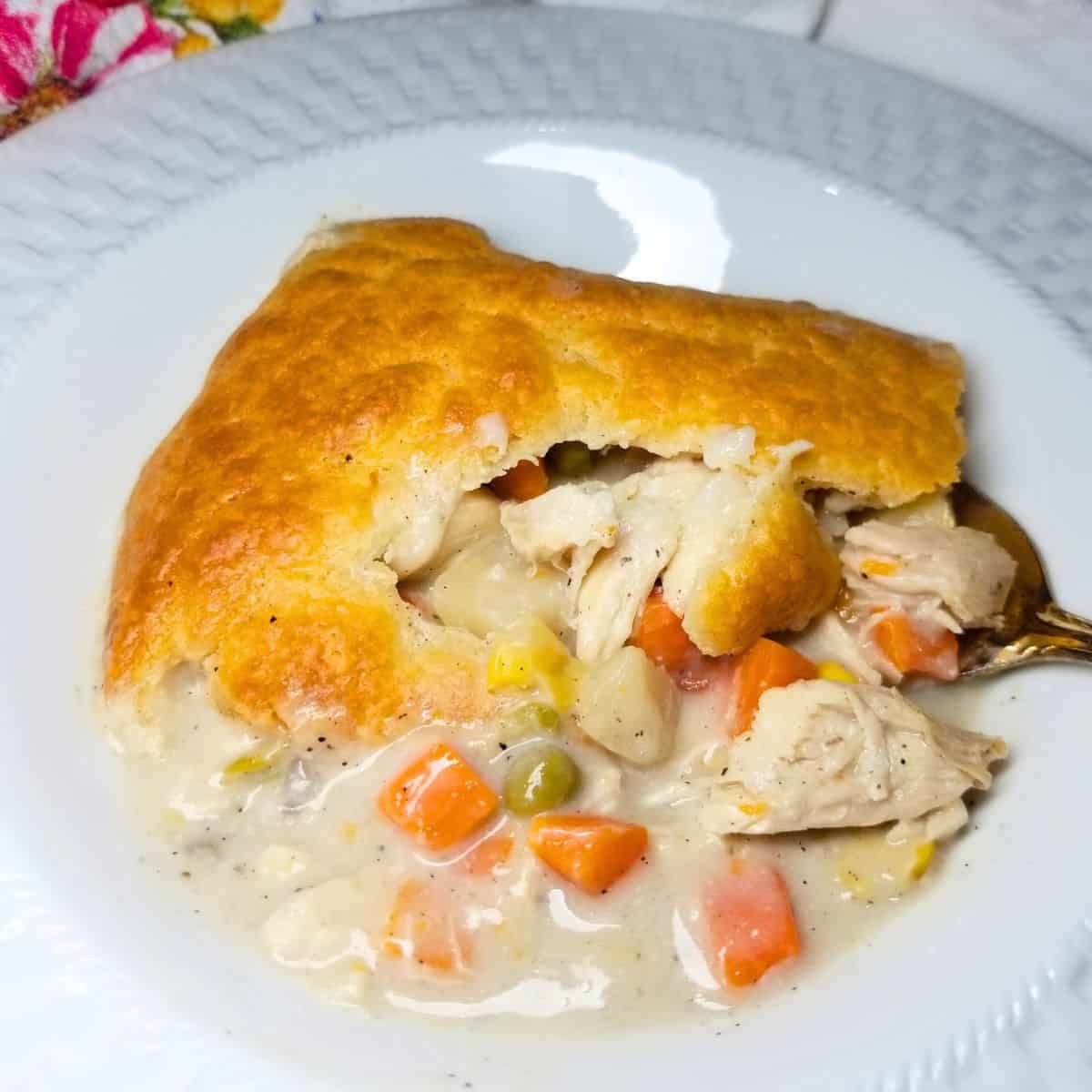Golden brown chicken pot pie fresh out of the oven in a bowl.