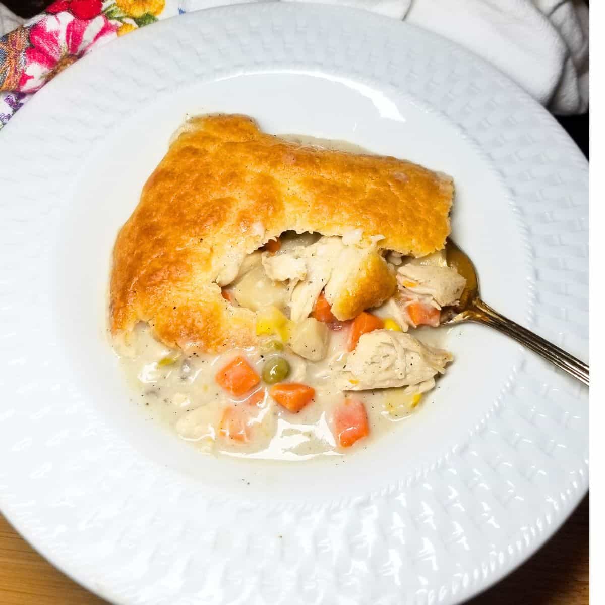 Golden brown chicken pot pie fresh out of the oven in a bowl.