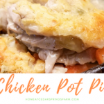 Easy Classic Chicken Pot Pie