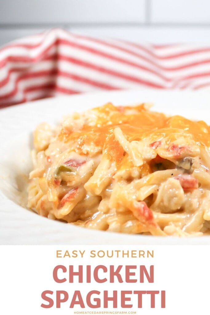 Easy Southern chicken spaghetti in a white bowl with text overlay.