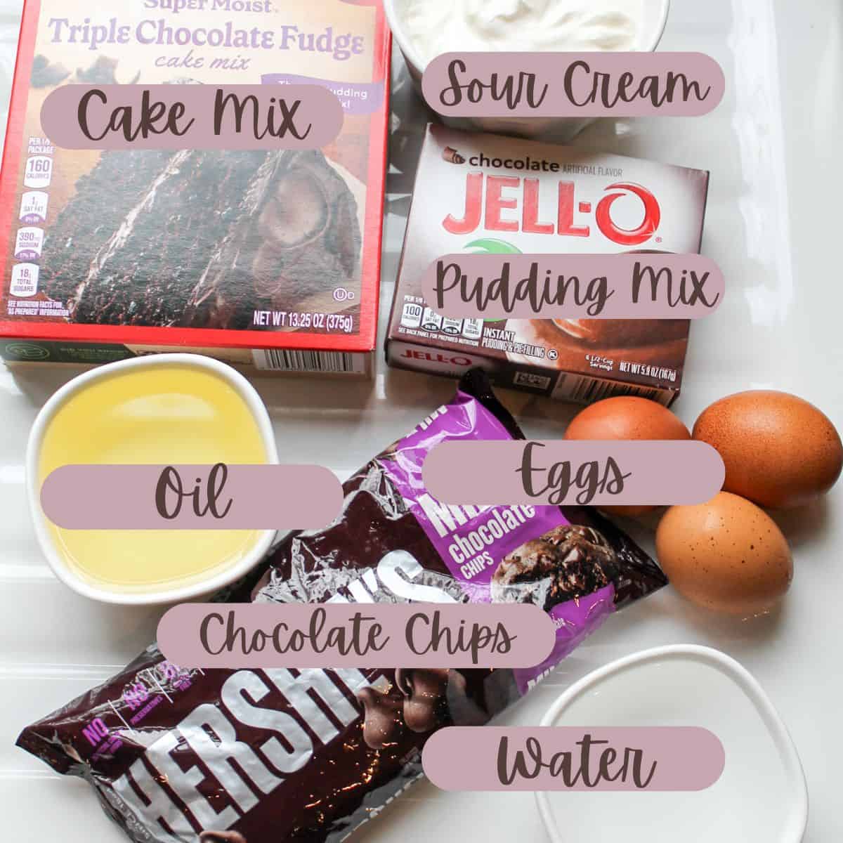 Ingredients needed for making a chocolate bundt cake with text overlay.