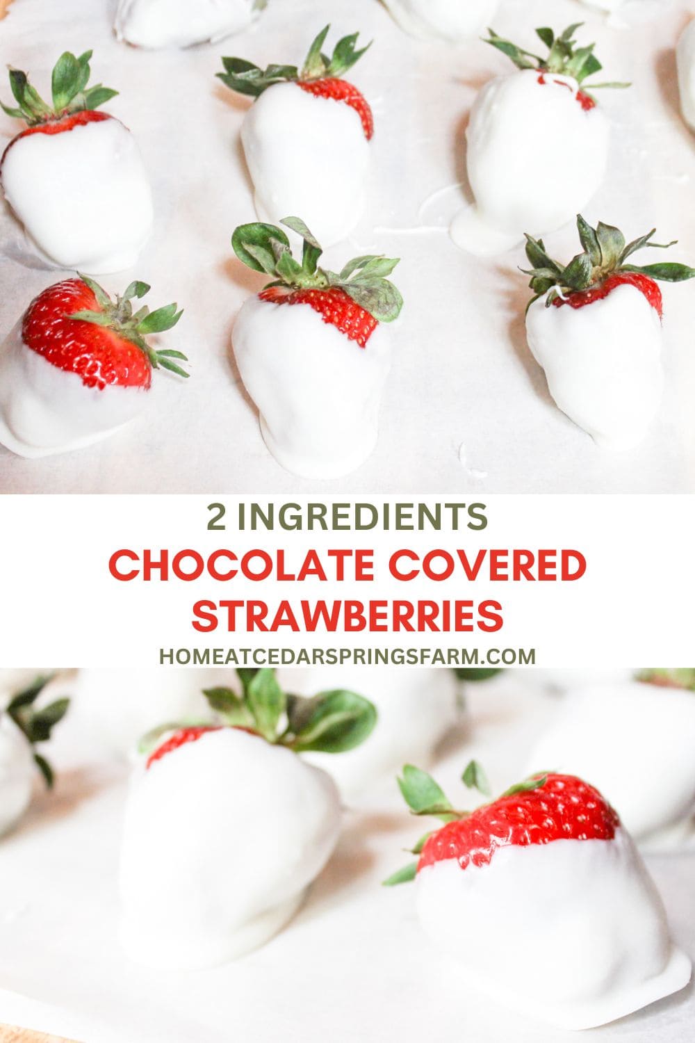 White chocolate covered strawberries with text overlay.