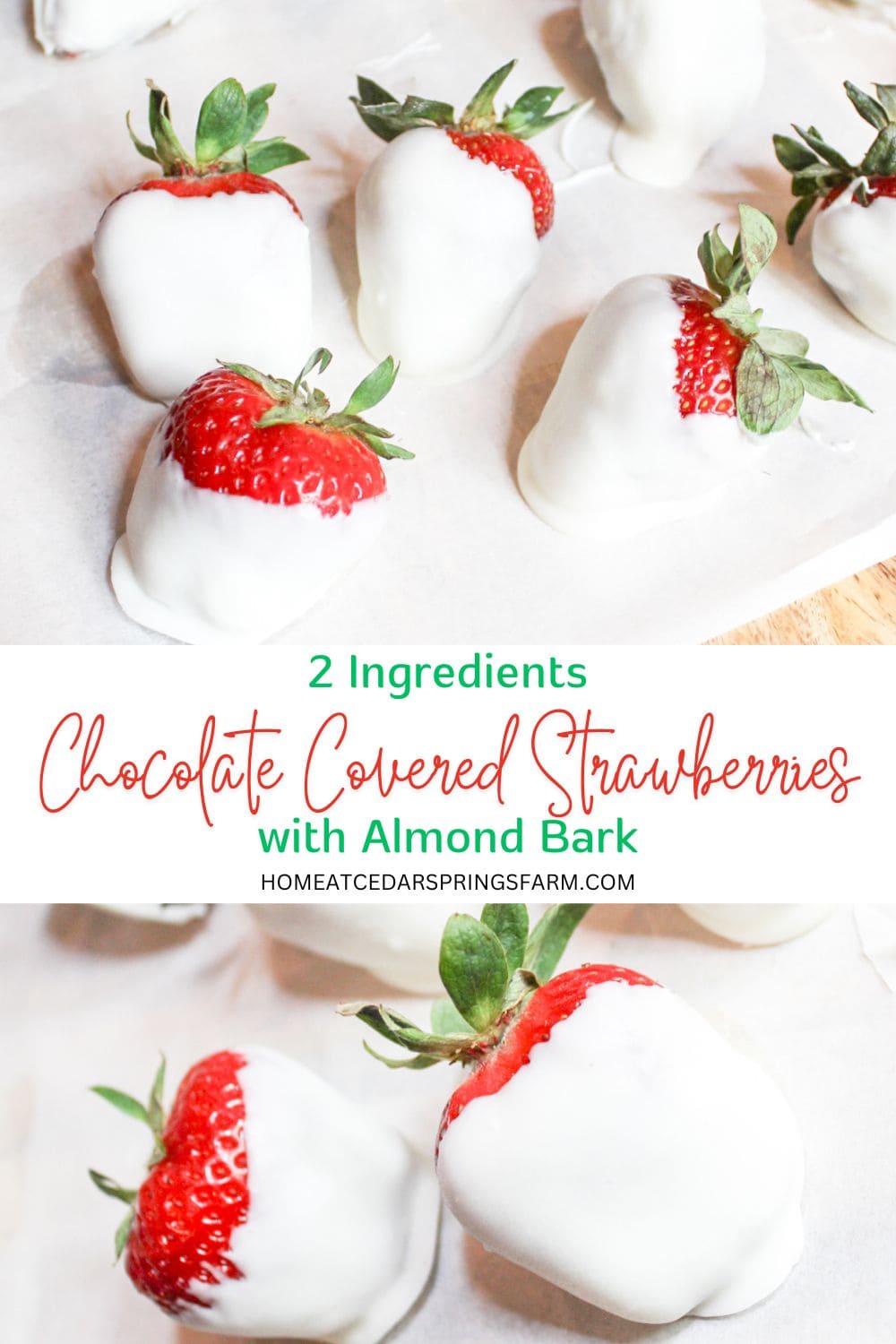 Chocolate covered strawberries with text overlay.