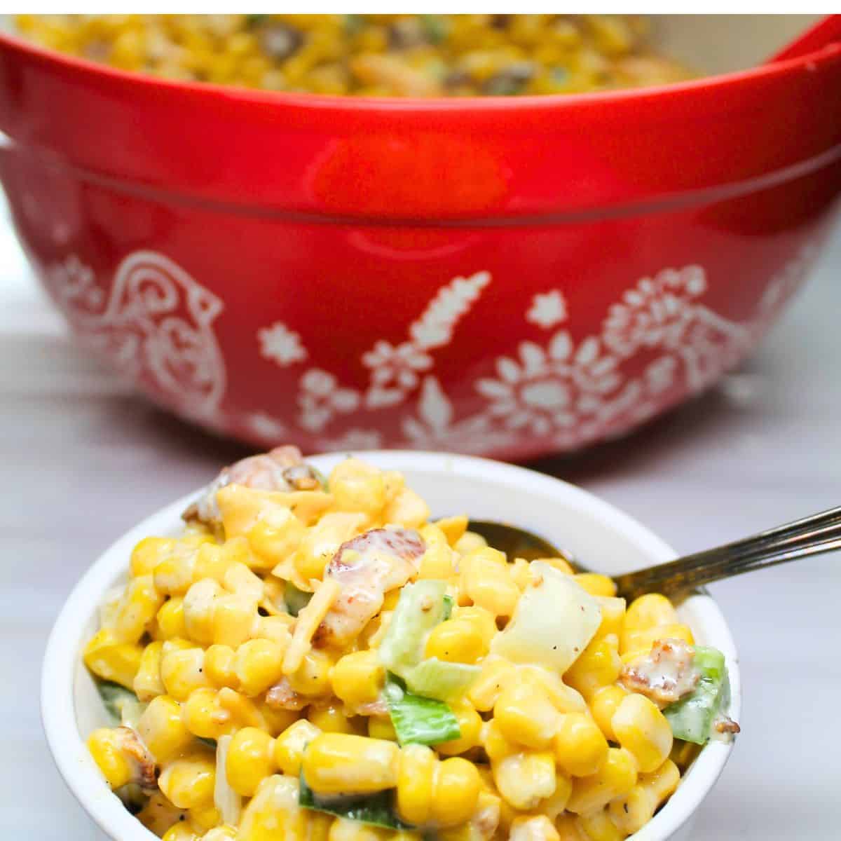 Finished recipe in a white bowl and a red bowl with a spoon.