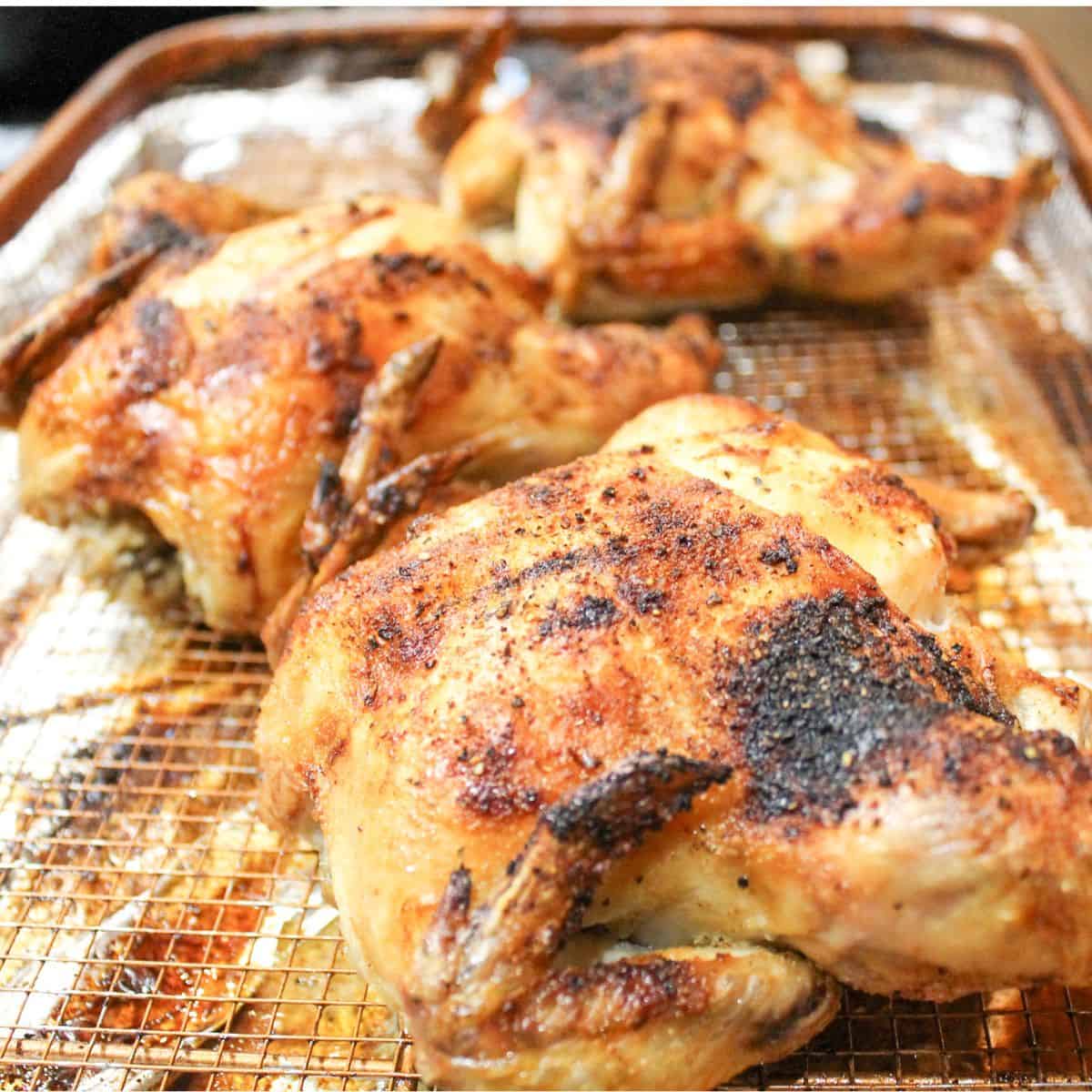 Butter roasted Cornish hens fresh from the oven.