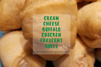 Cream Cheese Buffalo Chicken Crescent Rolls