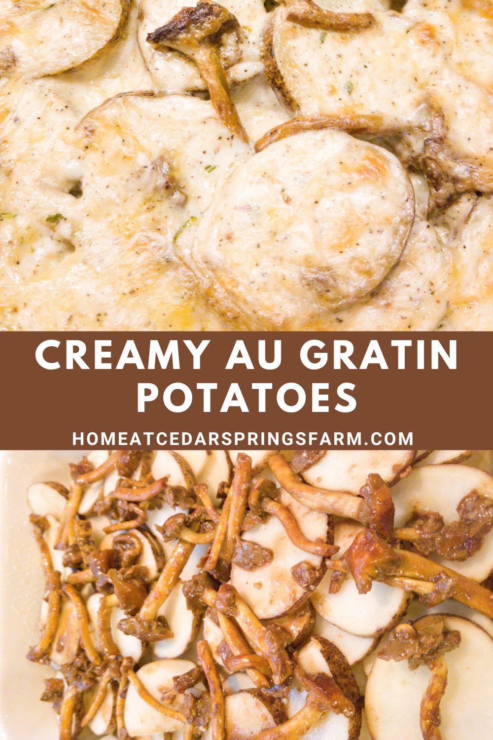 Creamy Au Gratin Potatoes picture with text overlay