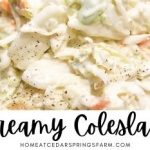 Easy Creamy Coleslaw