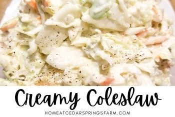 Easy Creamy Coleslaw